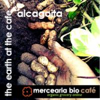 alcagoita in the earth at the cafe