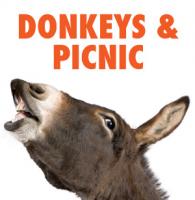 donkeys and picnic