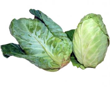 heart cabbage