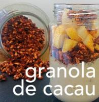 Granola de Cacau (vegan/sem açúcar refinado/sem glúten/sem frutos secos)