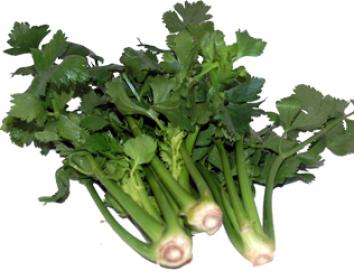 celery sticks kg