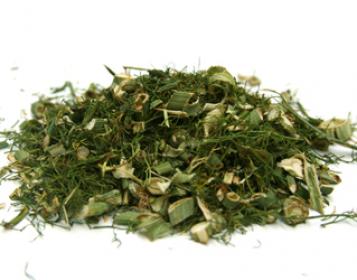fennel organic tea ervital 25g