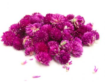 purple perpetua organic tea ervital 25g