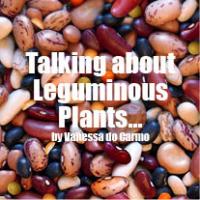 Talking about Leguminous Plants ...