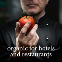 mercearia bio, helping restaurants and hotels going greener
