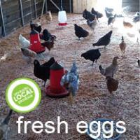 bio farm, eggs and more... local is fresher