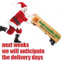 delivery for christmas and new year's weeks