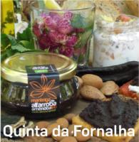 Quinta da Fornalha, a small sustainable south paradise