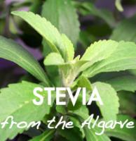 stevia from the Algarve