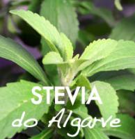 stevia do Algarve