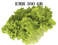 alface verde emb 300gr