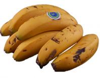 banana madeira