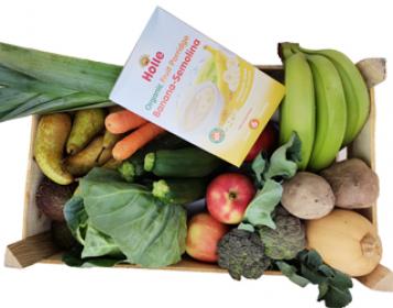 baby bio fruits & vegetables box +4m holle porridge