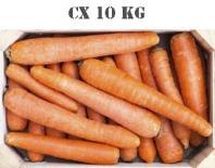 cenoura saco 10kg