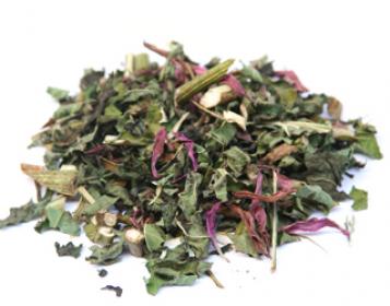 equinacea organic tea ervital 30g