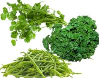 mix 3 ervas aromáticas frescas p/ pratos salada 100gr