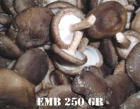 cogumelos shiitake pack 250gr