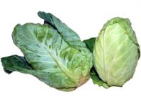heart cabbage