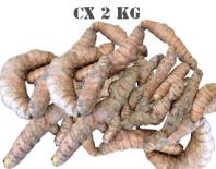 curcuma cx 2kg