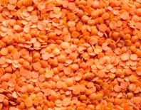 lentilhas vermelhas granel kg
