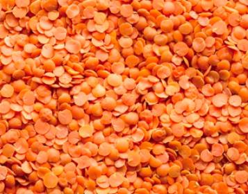red lentils kg