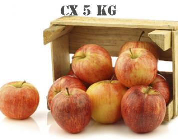 maçã royal gala cx 5kg