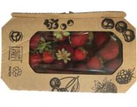 strawberries 0,25kg