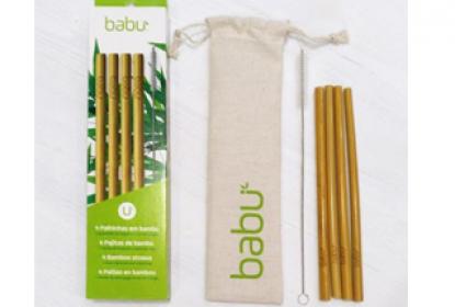 4 bamboo straws + cleaning brush babu