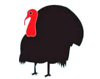 black turkey breast