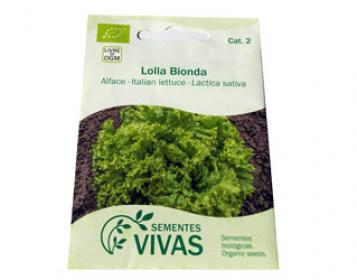sementes de alface lolla bionda sementes vivas 0,5g