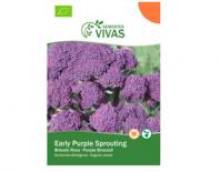 broccoli early purple sprouting sementes vivas 1g