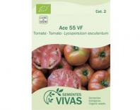 sementes de tomate ace 55 VF sementes vivas 0,5g