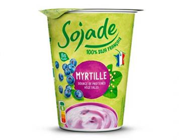 soy yoghurt with blueberrys sojade 400gr